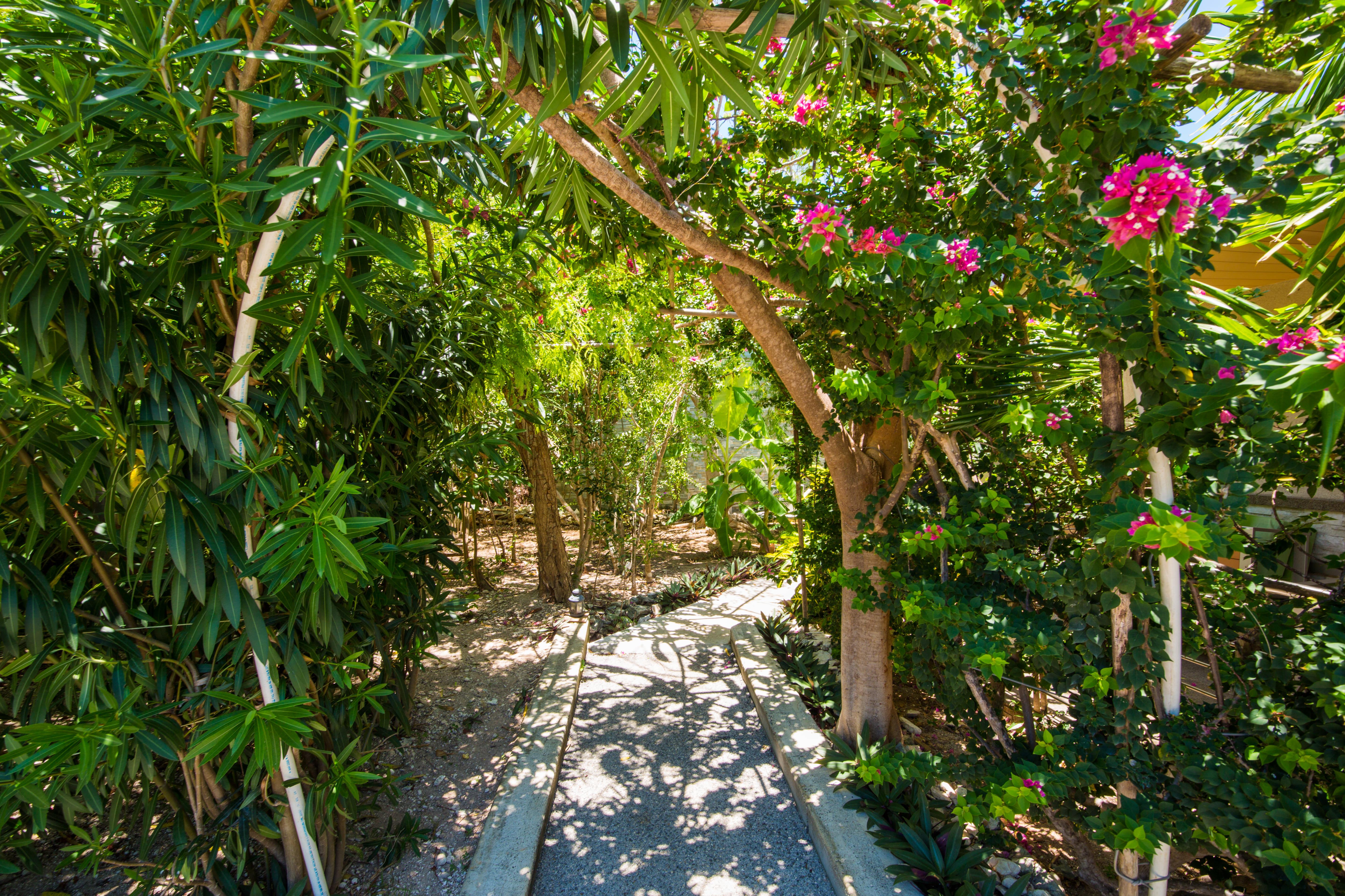 One On Marlin Resort (Adults Only) Turtle Cove Exterior photo
